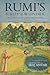 Rumi’s Birds of Wonder: The Great Sufi’s Life and Poetry (Selections from the Dīvān-e Shams)