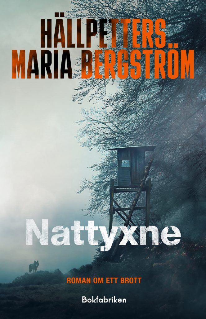 Nattyxne (Anders Marée, #2)