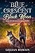 Blue Crescent Black Moon by Gillian Romain