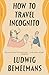 How To Travel Incognito