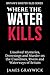 Where the Water Kills: Unso...