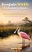 Everglades Wildlife & Birdw...