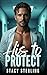 His to Protect by Stacy Sterling