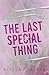The Last Special Thing by Alyssa K. Burns