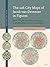 The 226 City Maps of Jacob van Deventer in Figures: Street Lengths, Accuracy in Relation to Modern Maps, Cross-Comparisons (Mapping the Past, 8)