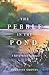 The Pebble in the Pond by Suzanne Groves