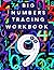 Big Number Tracing Workbook