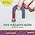 How Magnets Work: A First Look (Read About Science (Read for a Better World ™ ))