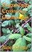 Plaguesongs Crowsongs Ghostsongs by James Osmer Plaguesongs Crowsongs Ghostsongs by James Osmer
