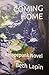 Coming Home: A Hopepunk Novel