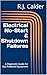 Electrical No-Start & Shutd...