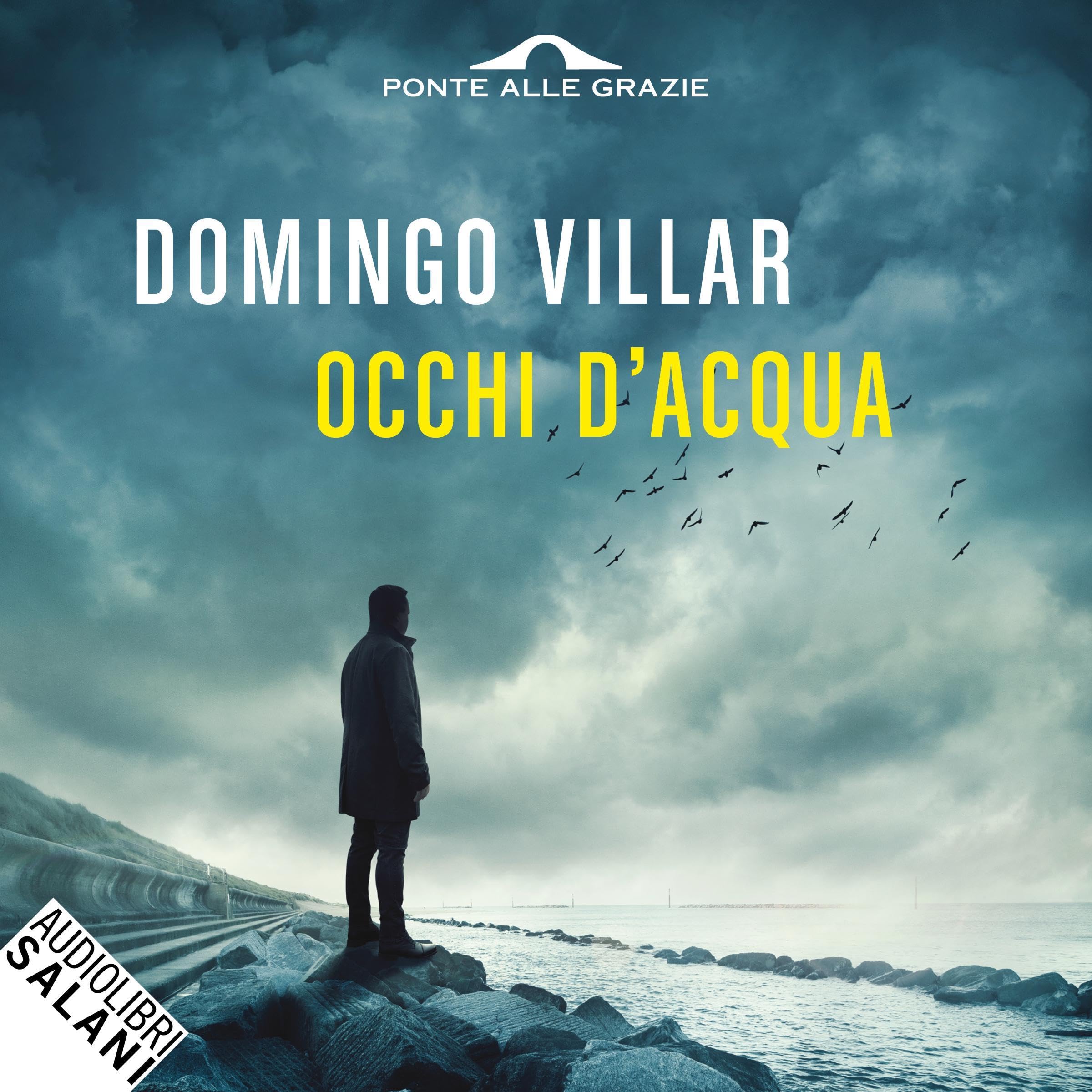 Occhi d'acqua: Le indagini di Leo Caldas, Vol. 1 (Audible Audio)