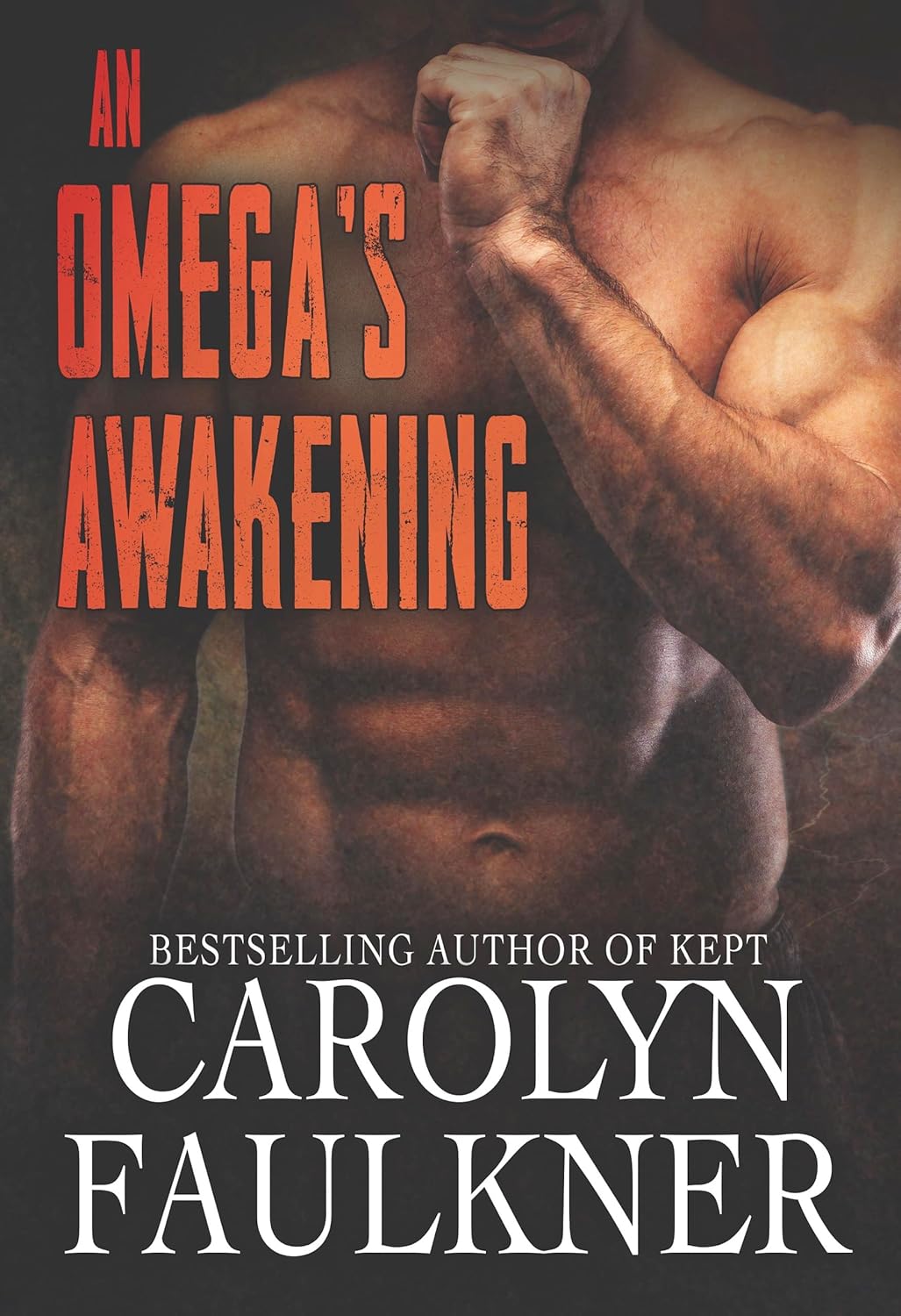 An Omega's Awakening (The Mate of the Omega #4)