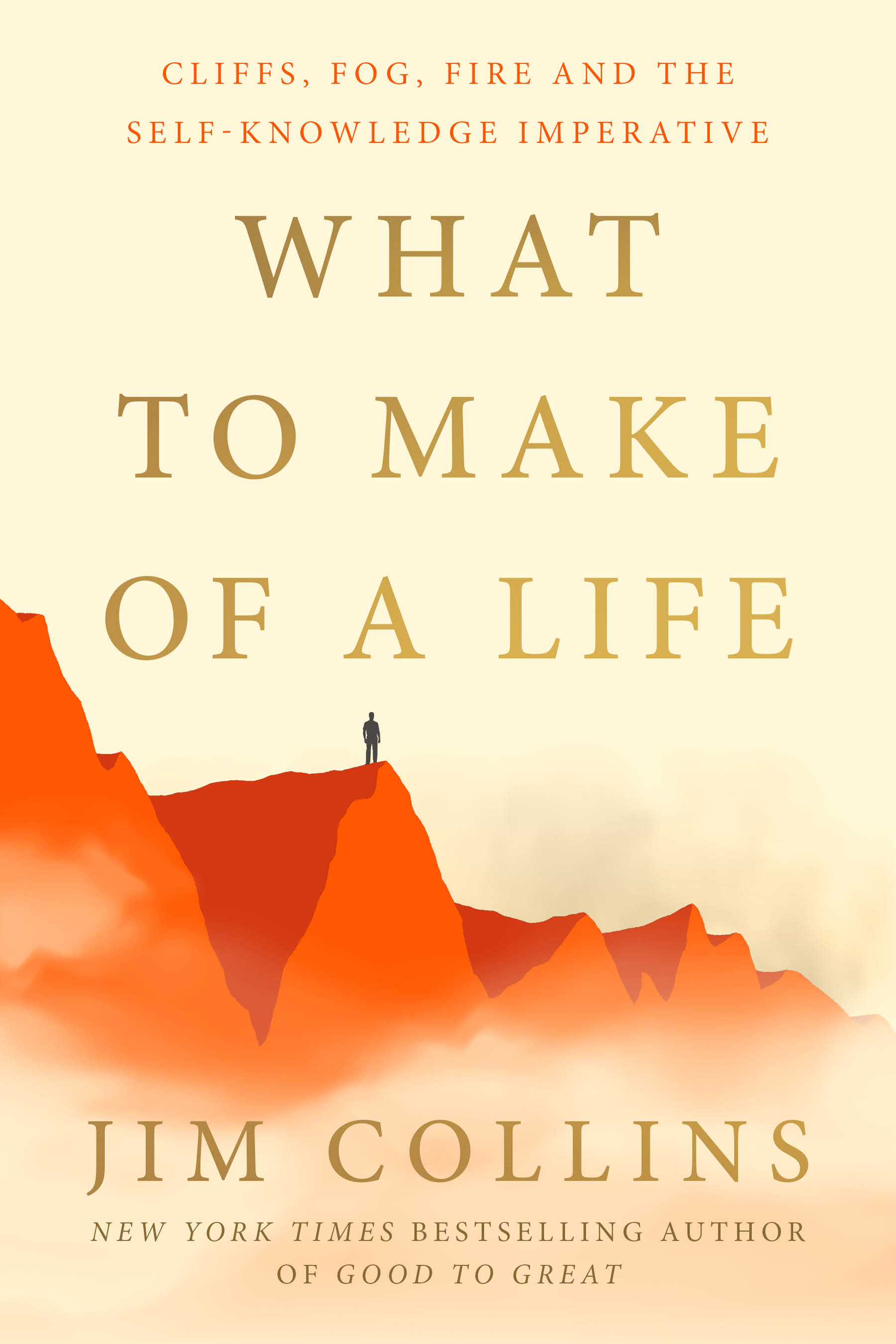 What to Make of a Life: Cliffs, Fog, Fire and the Self-Knowledge Imperative (Hardcover)