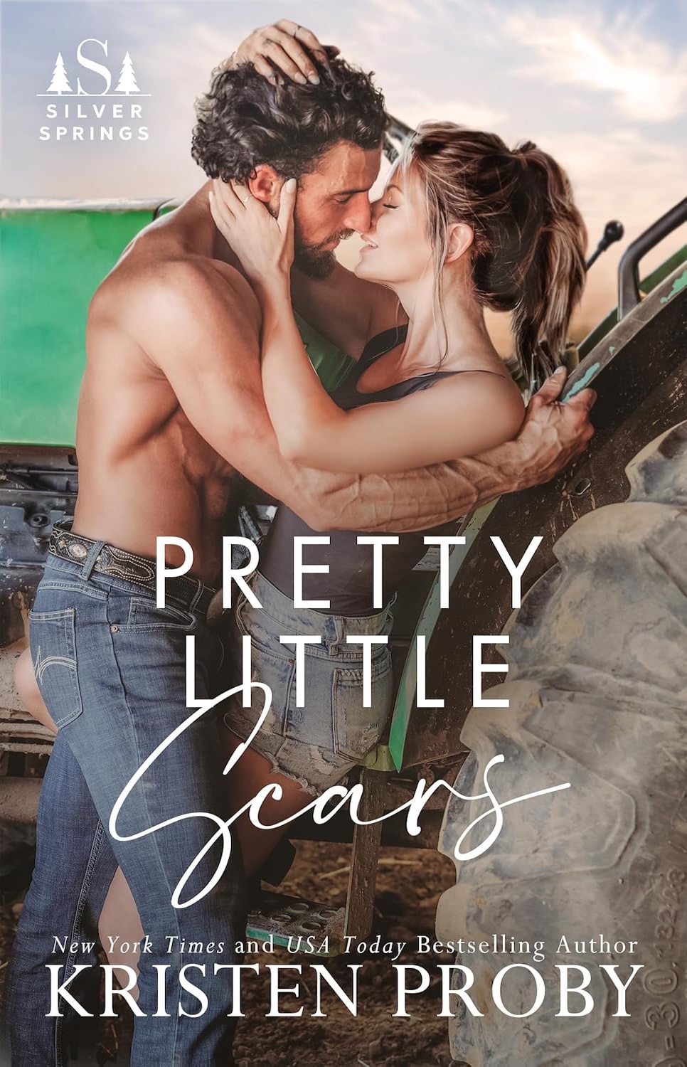 Pretty Little Scars (Silver Springs #1)