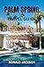 PALM SPRING TRAVEL GUIDE: P...