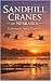 Sandhill Cranes of Nebraska...