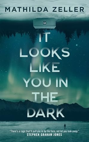 It Looks Like You in the Dark (Kobuk Valley)