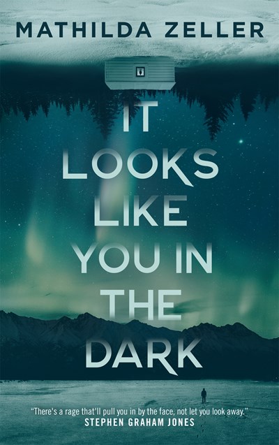 It Looks Like You in the Dark (Hardcover)
