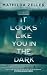 It Looks Like You in the Dark (Kobuk Valley)