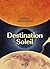 Destination Soleil (French Edition)