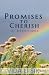 Promises To Cherish by Vida Li Sik