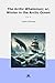 The Arctic Whaleman; or, Wi...