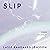 Slip (Danish Edition)
