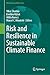 Risk and Resilience in Sustainable Climate Finance (World Sustainability Series)
