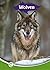 Wolven (Junior informatie, ...