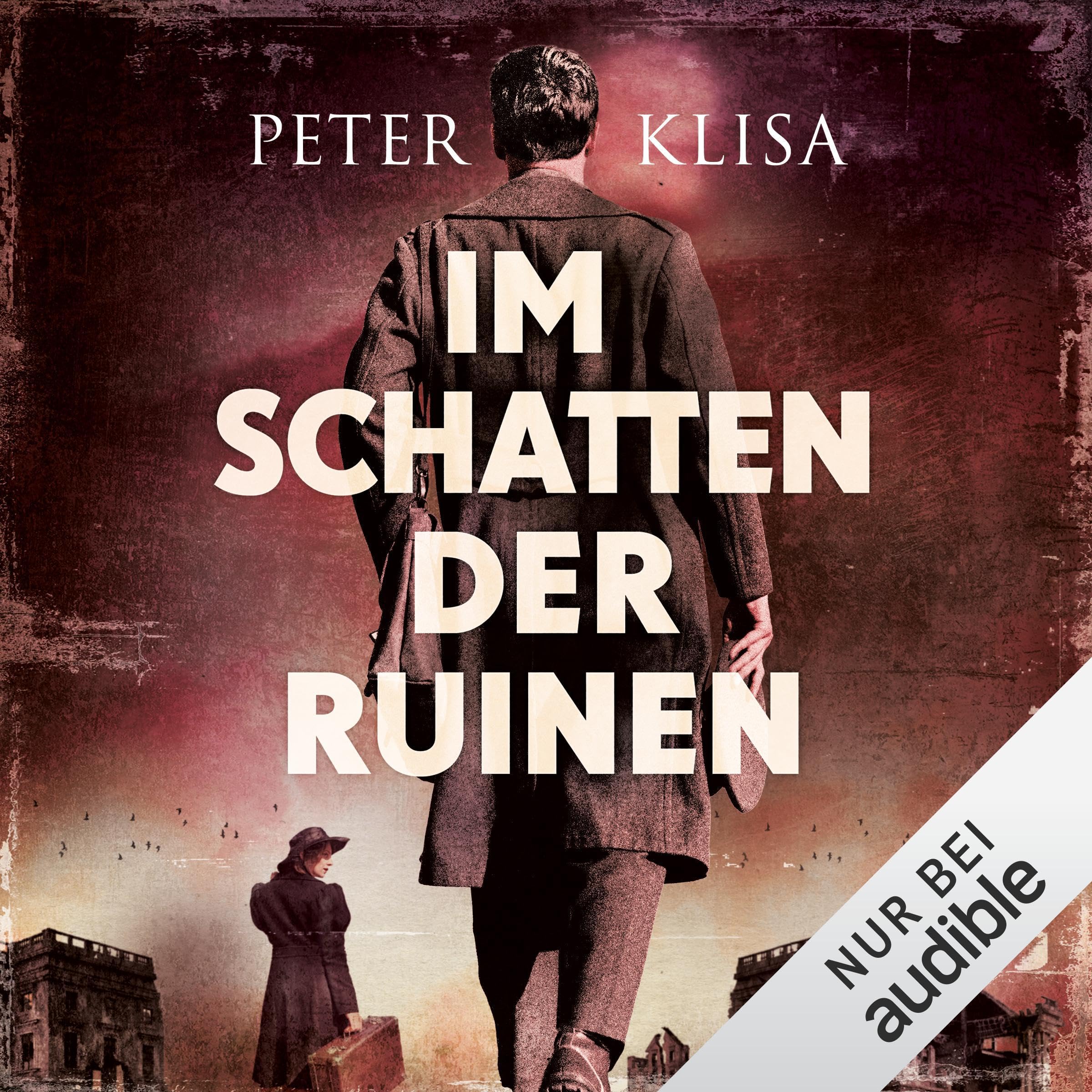 Im Schatten der Ruinen (Audible Audio)