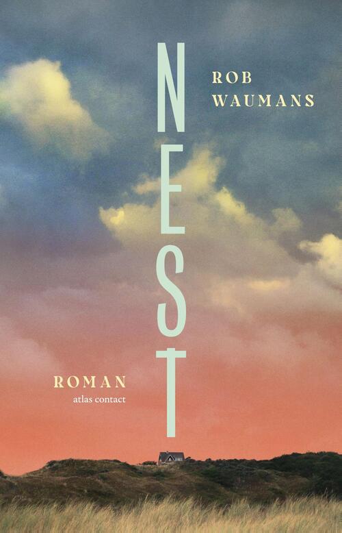 Nest (Paperback)