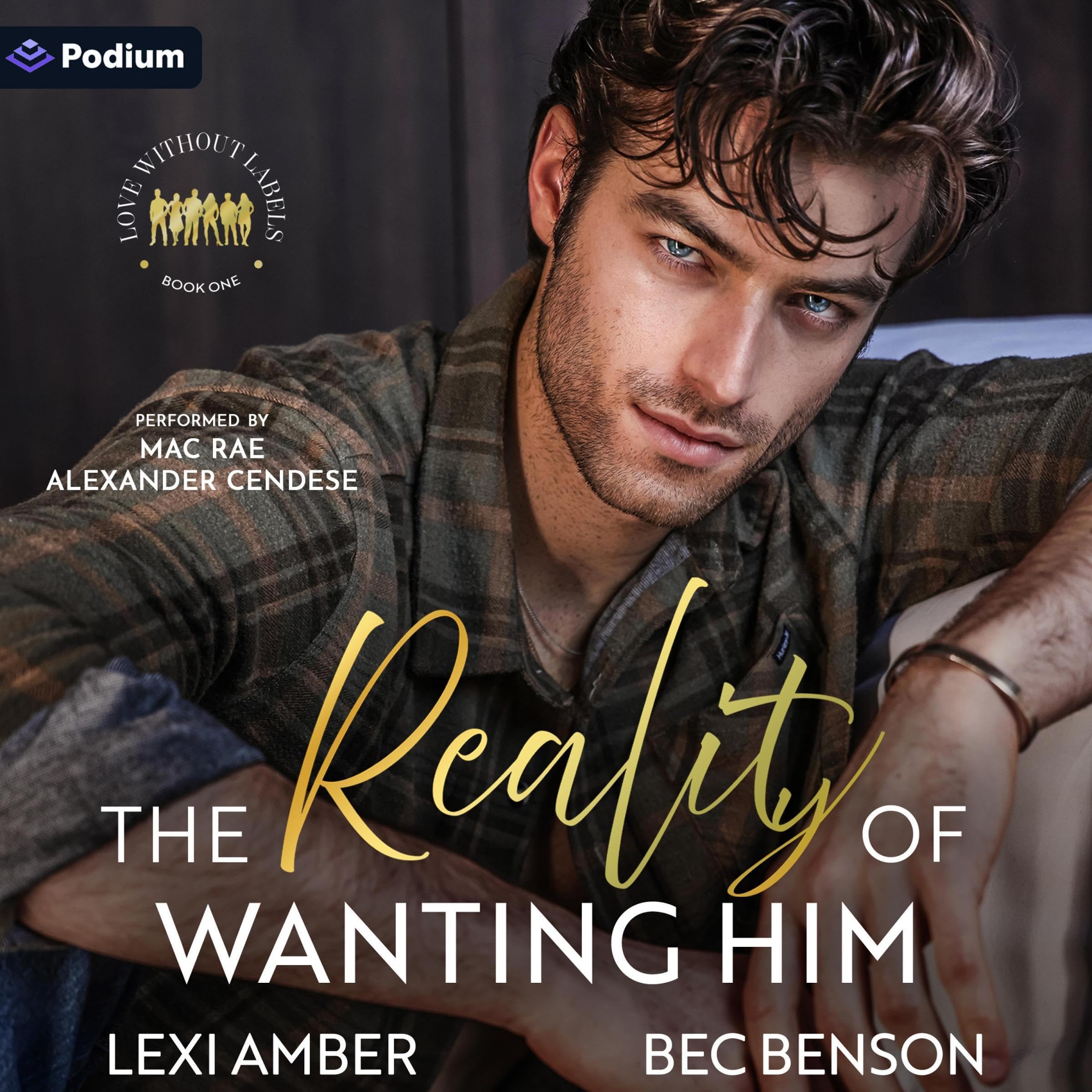 The Reality of Wanting Him: Love Without Labels, Book 1 (Audible Audio)
