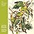 Fitzwilliam Museum: Audubon Birds Wall Calendar 2027 (Art Calendar)