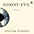 Ghost-eye: A Novel