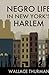 Negro life in New York's Ha...