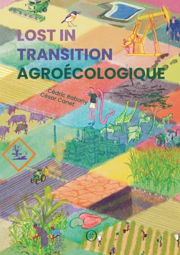 Lost in transition agroécologique (Paperback)