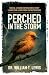 Perched in the Storm: Brutal Lessons in Resilience Every Leader Can Learn from Entrepreneurs