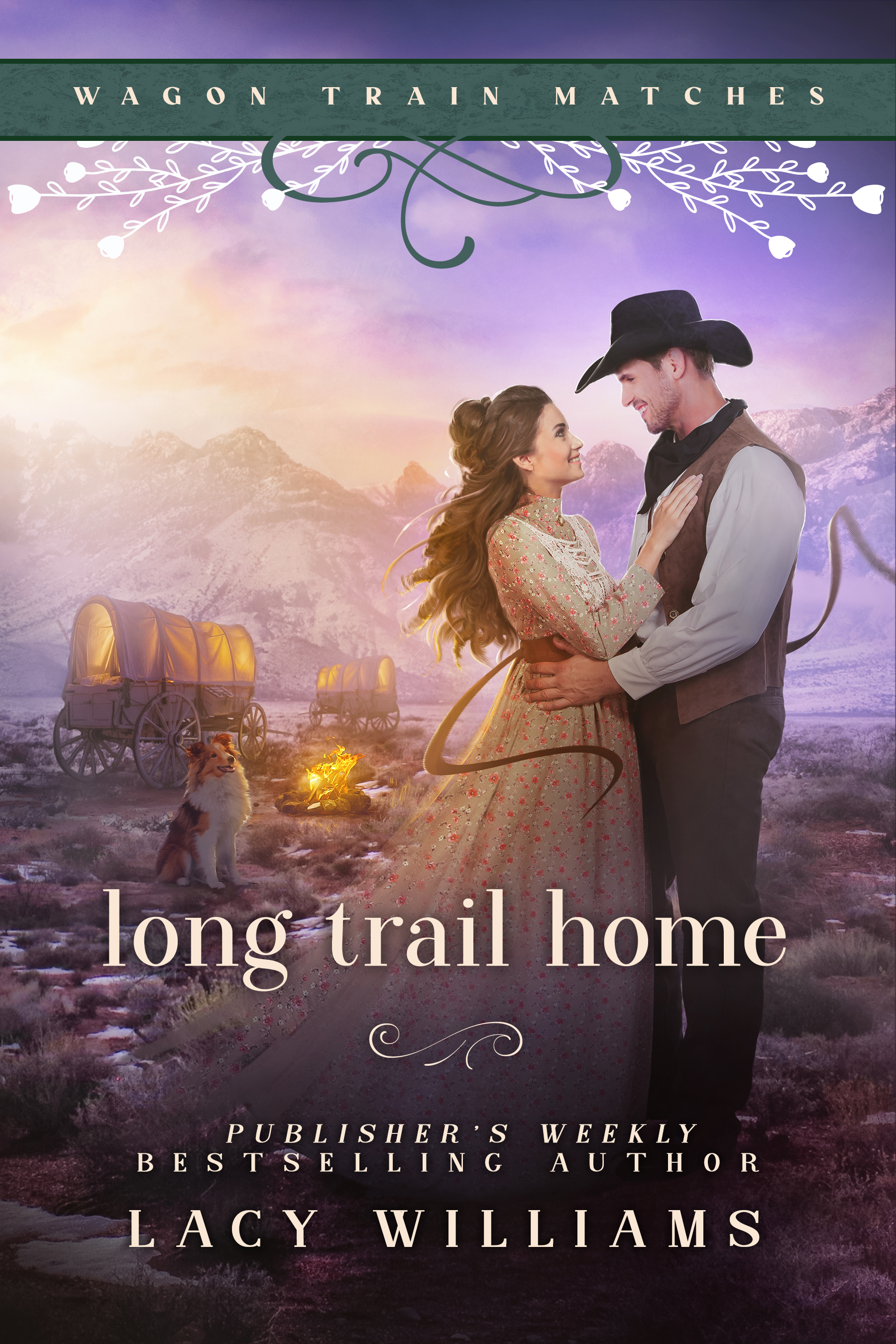 Long Trail Home (Paperback)
