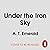 Under the Iron Sky by A.T. Emerald