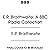 E.R. Braithwaite: A BBC Rad...