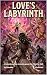 Love's labyrinth: A Valenti...