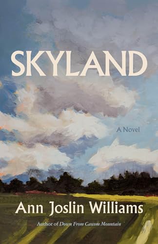 Skyland: A Novel (Paperback)