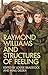 Raymond Williams and Structures of Feeling