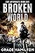 Broken World (EMP Aftermath...