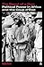 The Barrel of a Gun: Political Power in Africa and the Coup d'État (Verso's Southern Questions)