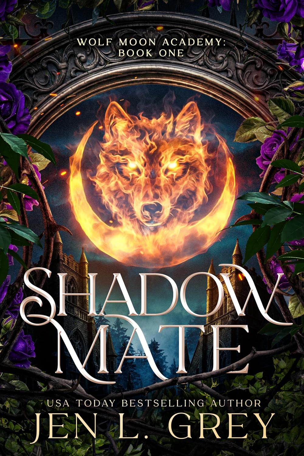 Shadow Mate (Wolf Moon Academy, #1)