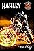 Harley (Phoenix MC Hampshir...