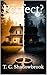 Perfect?: A Psychological Thriller (Simply Obsessed: The Trilogy Book 1)
