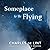 Someplace to Be Flying (Newford, #5)